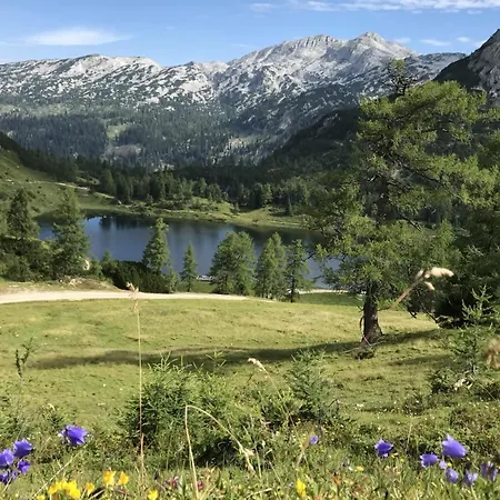In Sonnenalm - Salzkammergut 37033
