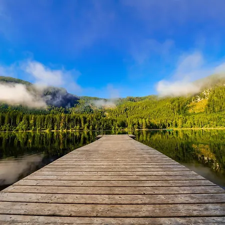 In Sonnenalm - Salzkammergut 37033 公寓