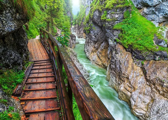 In Sonnenalm - Salzkammergut 37033 * Reith