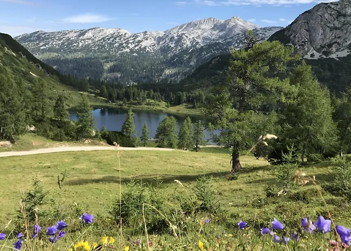 In Sonnenalm - Salzkammergut 37033